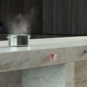 91867_GAGGENAU_CH_8-seitige_Broschuere_The_Essential_Induction_2023_FR_RZ3