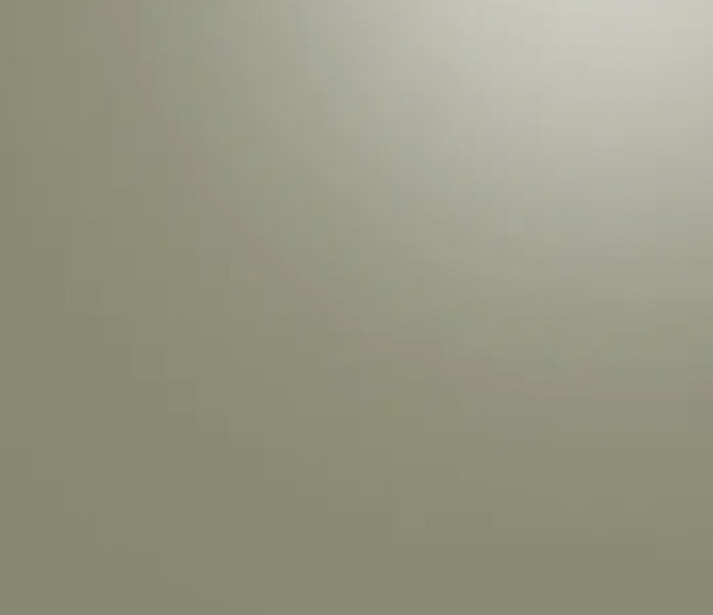 PC_blog_IDEAPM172salbeigrnretuschiert_650x560