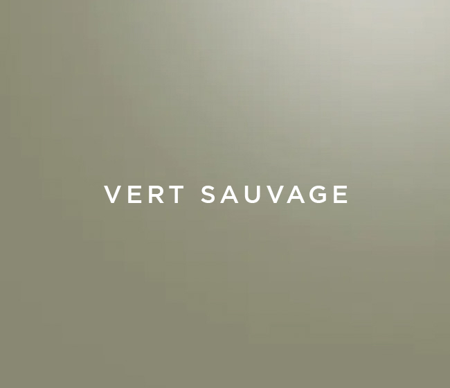 PC_blog_IDEAPM172salbeigrnretuschiert_650x560